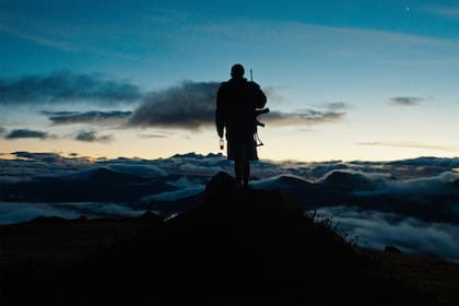 El film colombiano Monos