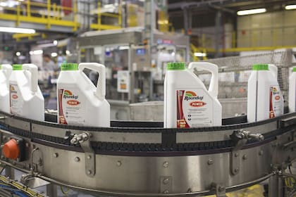 Monsanto comercializa el glifosato, un poderoso herbicida, con la marca Roundup