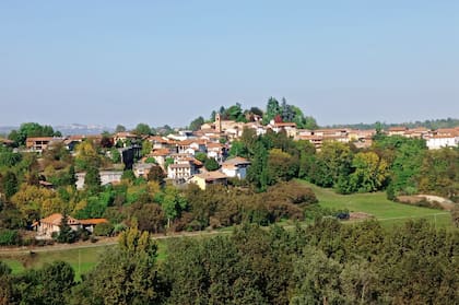 Montafia.