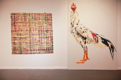 Obras de Juliana Iriart y Cynthia Cohen