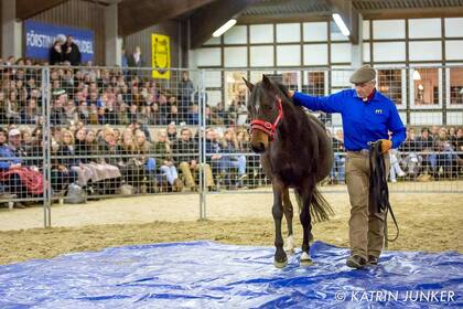 Monty Roberts: “Los caballos son animales de manada, buscan seguridad y está demostrado que es más efectivo el entrenarlos sin violencia”
