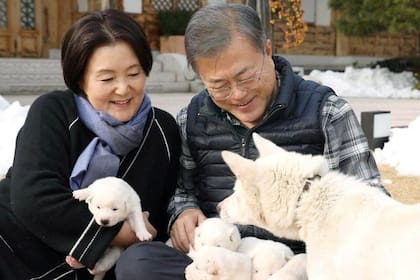 Moon Jae-in y los perros obsequiados por Kim Jong-un