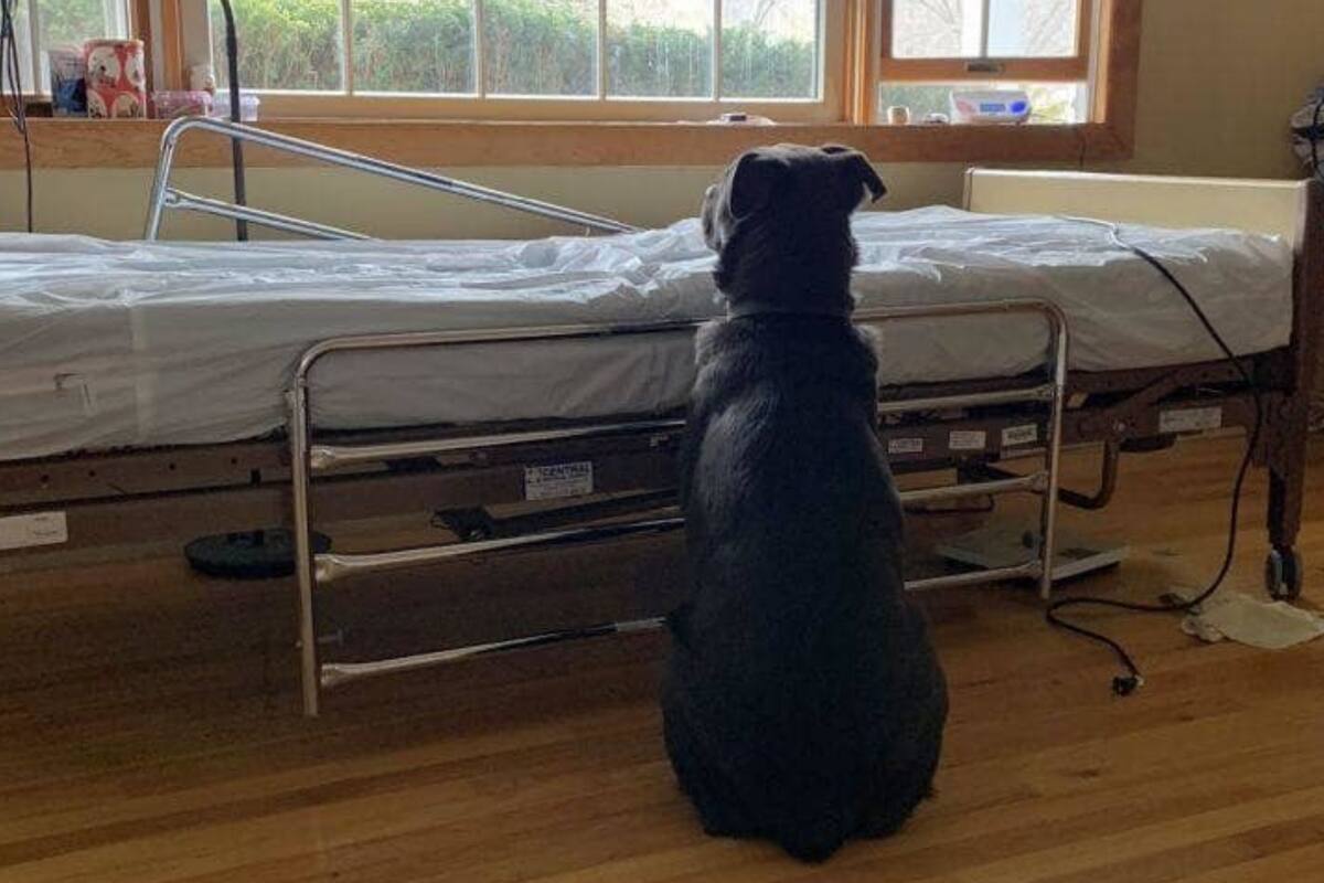 Moose vivía con su humano hace poco más de un año cuando se quedó sin casa