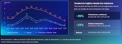 Mora en Situación 2 del Banco Central. Fuente: Cámara Argentina Fintech
