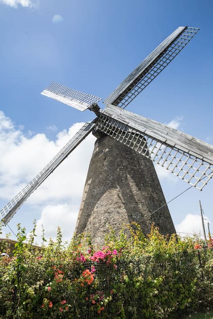 Morgan Lewis Mill, único molino en pie de la isla.