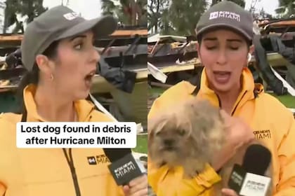 Morgan Rynor rescató un perrito en vivo tras el devastador paso del huracán Milton en Florida
