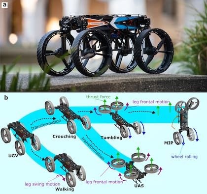 Morphobot es un robot multimodal: puede cambiar su método de locomoción en función de sus necesidades y los obstáculos que enfrenta