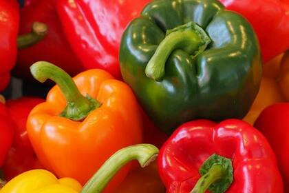 Morrones crudos, antes de ser procesados y envasados