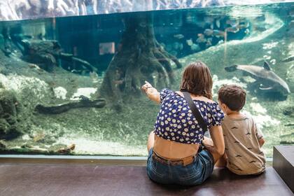 Mostrarles al mundo y darles estabilidad son dos factores que se repiten, pero hay otros menos felices que también comparten