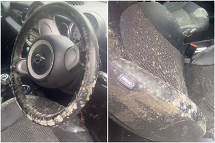 Mostró cómo el moho invadió su auto y sorprendió a todos