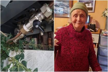 Mostró cuánto le cobró el plomero y despertó indignación: fueron más de $70 mil