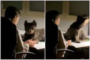 Mostró el particular método para estudiar inglés en TikTok y sorprendió a todos