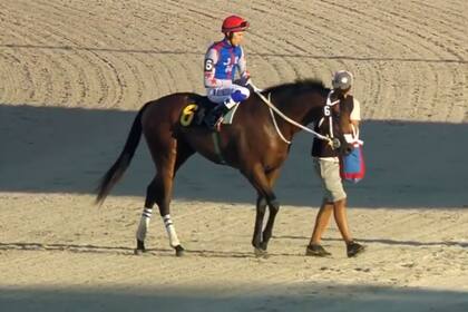 Mourinho, el potrillo que ganó en Uruguay la misma tarde en la que su homónimo DT festejó frente a Guardiola