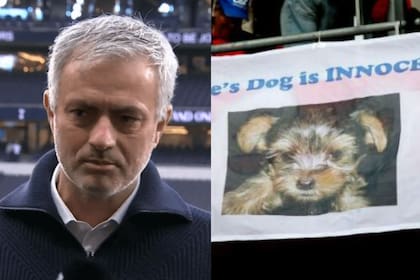 Mourinho y una Navidad triste: murió su perro favorito