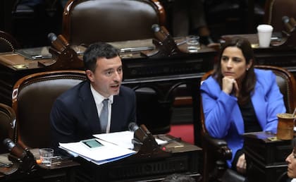 Rodrigo de Loredo, jefe de la UCR en Diputados