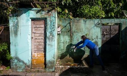Muchas casas en Belém están bordeadas por la selva amazónica, lo que hace que el control de mosquitos sea un desafío