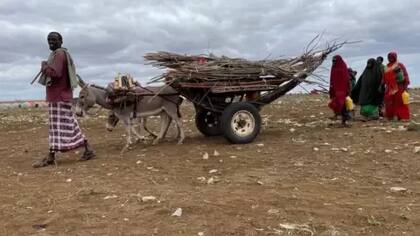 Muchas familias caminan durante días desde sus aldeas hacia Baidoa en busca de alimentos y asistencia médica.