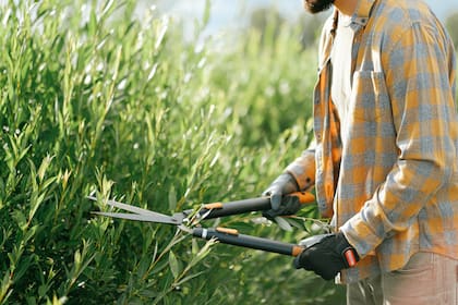 Muchas lesiones oculares se producen cuando la gente hace trabajos de jardinería o carpintería sin gafas de seguridad