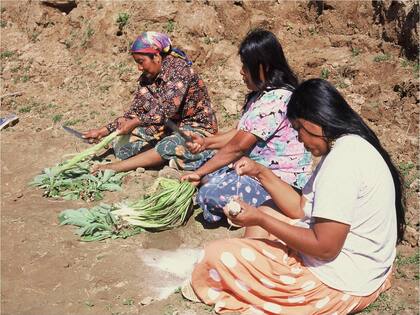 Muchas mujeres ponen su esfuerzo en regenerar la naturaleza y el patrimonio intangible y milenario del lugar