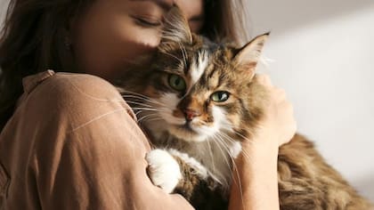 Muchas personas consideran que las mascotas son un miembro más de la familia y que su fallecimiento provoca un dolor irreparable