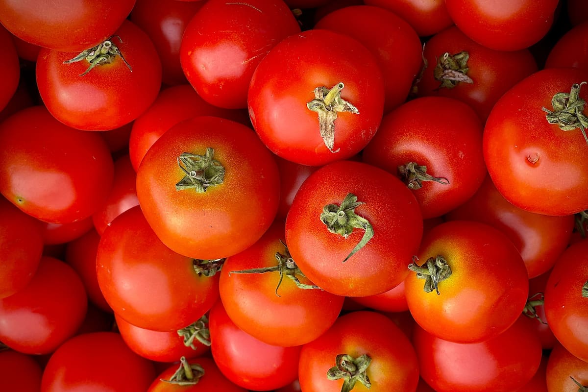 Muchas personas disfrutan comer los tomates al natural, pero esto puede generar problemas de conservación