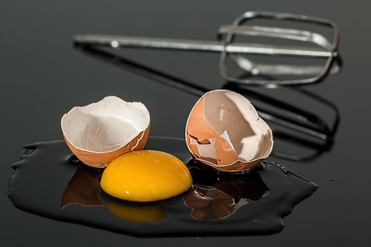Muchas personas optan por sacarlas y consumirlo; otras prefieren directamente no comer el huevo (Foto ilustrativa: PIXABAY)