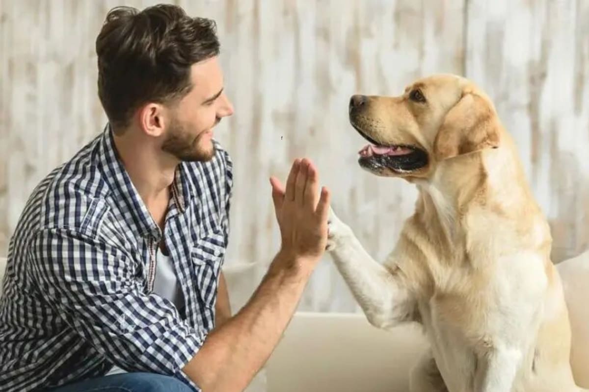 Muchas personas tienden a hablarle a sus perros como si fueran bebés