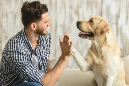 Muchas personas tienden a hablarle a sus perros como si fueran bebés