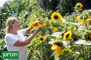 Muchas plantas comestibles se convierten en flores de corte en primavera y verano