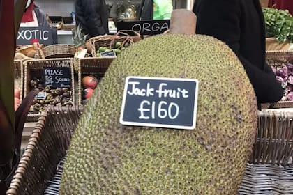 Muchos brasileros en Twitter bromearon diciendo que volarían a Reino Unido para convertirse en “multimillonarios” vendiendo las jacas