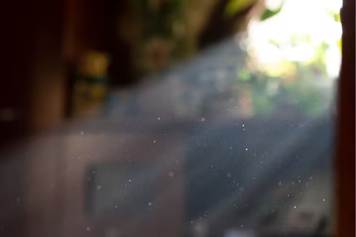 Muchos de los contaminantes comunes en el aire exterior también están presentes en el aire de nuestras casas