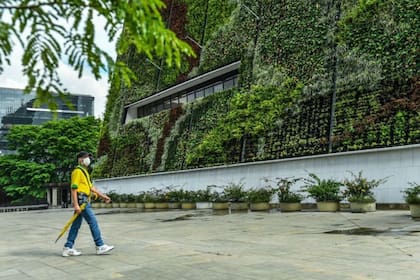 Muchos de los jardineros que cuidan los corredores verdes habían sido desplazados por el conflicto armado en Colombia