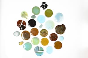 Muchos diseñadores comenzaron a dedicarse al biodiseño