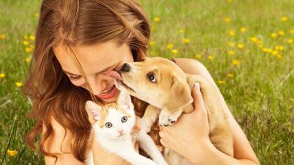 Muchos dueños de mascotas consideran a sus animales como miembro de la familia.