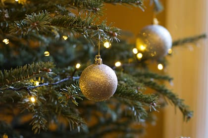 Muchos estadounidenses esperan hasta el 6 de enero para quitar el árbol de Navidad (Unsplash)