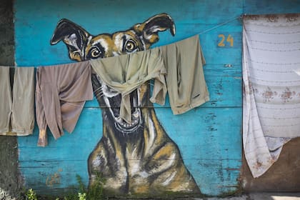 "Muchos me dicen cómo podés vivir en la isla; es un barrio con sus características buenas y malas, les digo yo", explica Romina.