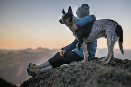 Muchos perros atraviesan un proceso de duelo muy parecido al de los humanos