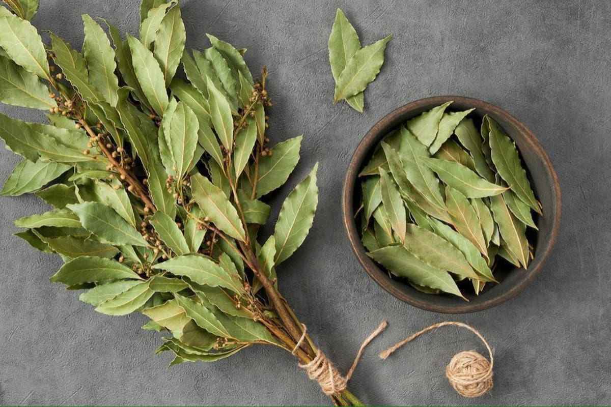 Muchos ponen las hojas del laurel debajo de la almohada para alejar a las malas energías