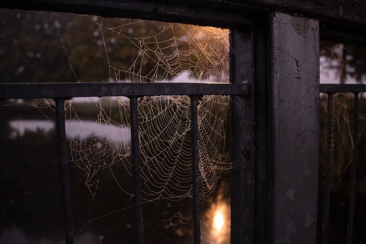 Muchos se preguntan si en Halloween es feriado en Estados Unidos