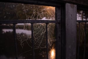 Muchos se preguntan si en Halloween es feriado en Estados Unidos