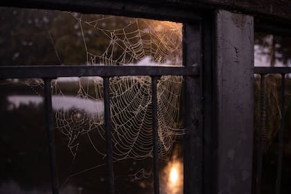 Muchos se preguntan si en Halloween es feriado en Estados Unidos