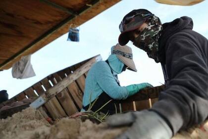 Muchos trabajadores agrícolas en EE.UU. son migrantes