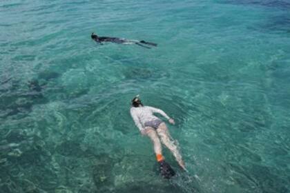Muchos turistas eligen nadar en el Dry Tortugas para mantenerse en contacto con la naturaleza