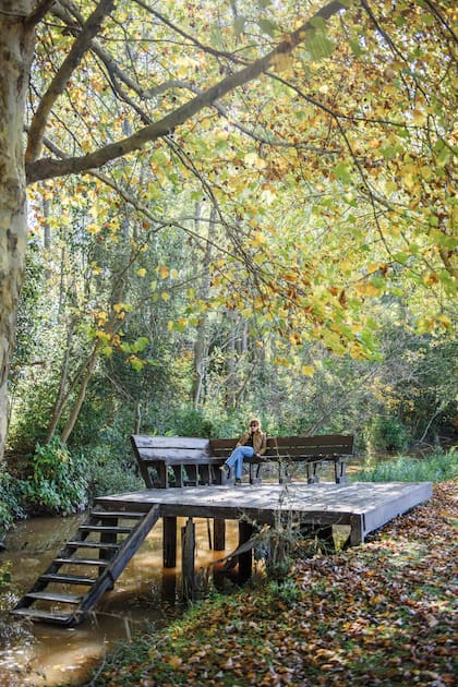 Muelles y puentes artesanales están realizados en madera, material que se mimetiza con el entorno