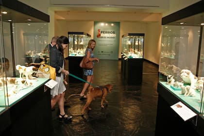 Muestra dedicada a los perros en el Museo de Arte Decorativo. Permiten ingresar con perros reales. El Shar pei Azafran de tres años recorrio la muestra con Soledad Alvarez Colombres, de campera de jean, y Cristina Alvarez Colombres.