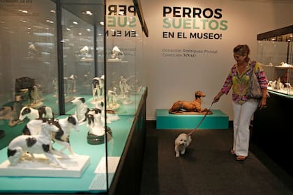 Muestra dedicada a los perros en el Museo de Arte Decorativo. Permiten ingresar con perros reales. La caniche Olivia de seis años recorrio la muestra con su dueño Teo y la madrina Juana.