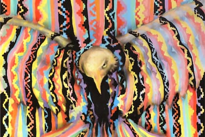 Muestra Febe, los ponchos y las tejedoras. Febe Defelipe