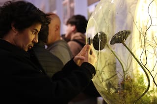 7 recomendados de arte y cultura para esta semana