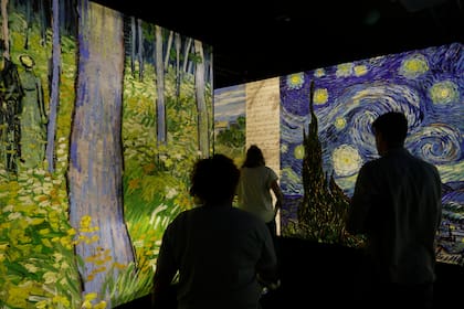 Muestra inmersiva Meet Vincent Van Gogh en el  Campo Argentino de Polo