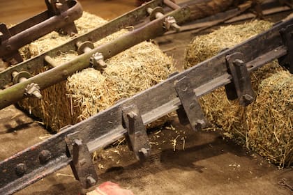 Muestra sobre el alambrado en la UCA